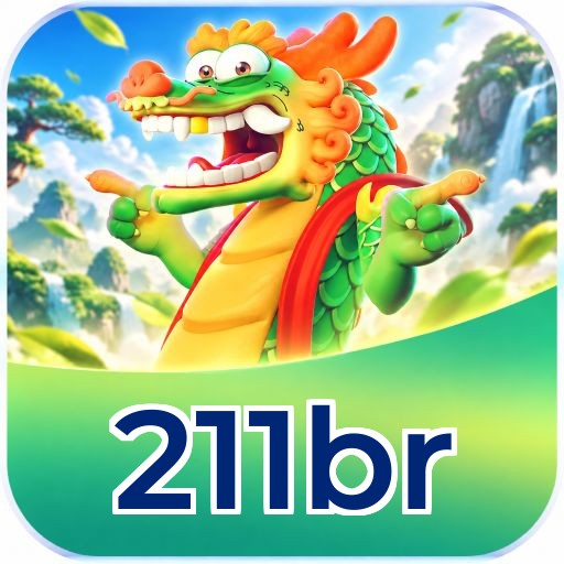 211br